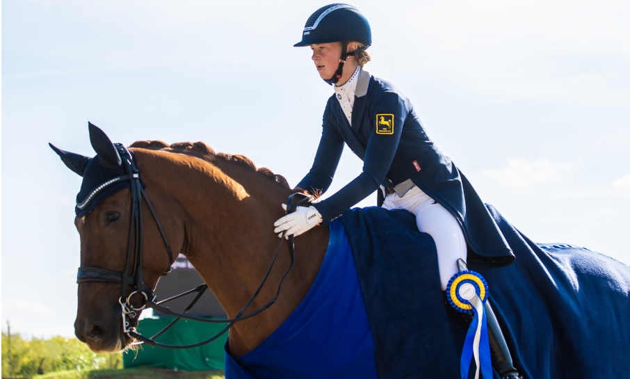 Dressurunterricht_1.1